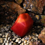 omobg sapun s estestven kristal iznenada seria chetirite elementa ogun i60872 711